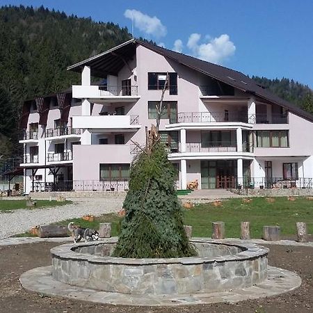 Pensiunea Poiana Soarelui Brates Exterior foto