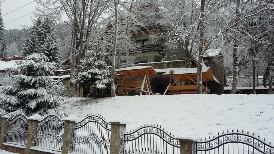 Pensiunea Poiana Soarelui Brates Exterior foto