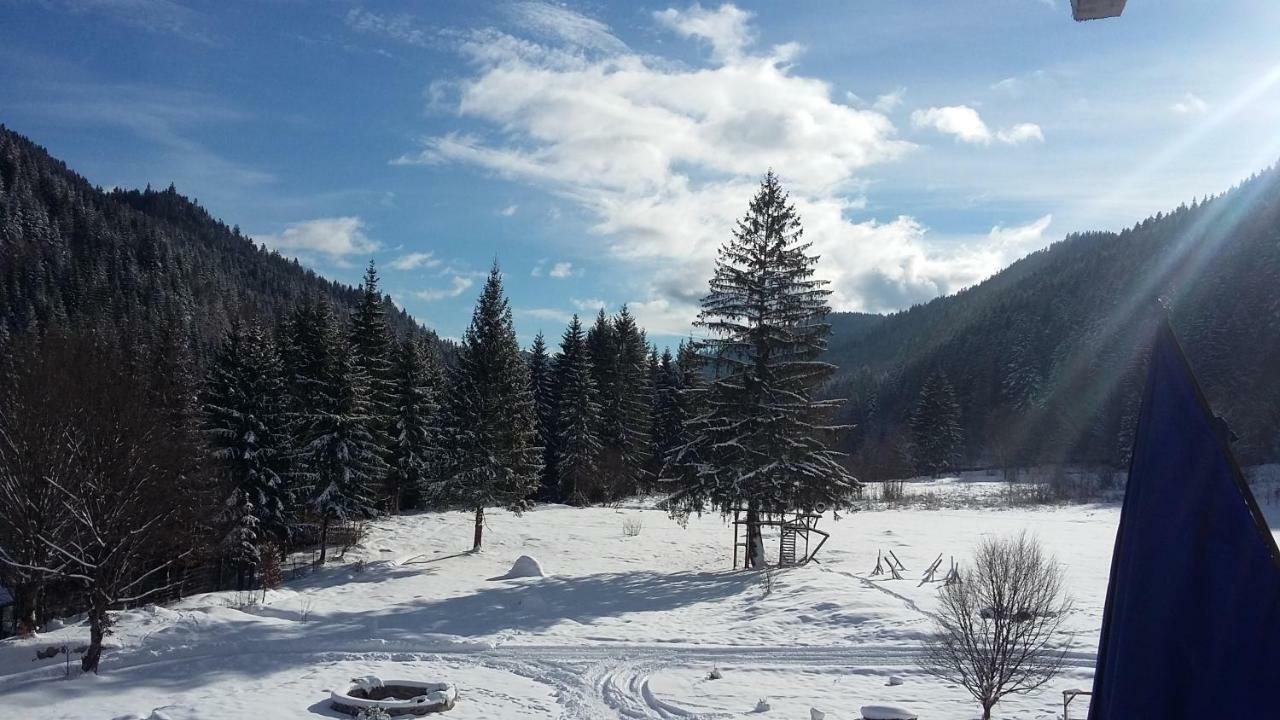 Pensiunea Poiana Soarelui Brates Exterior foto