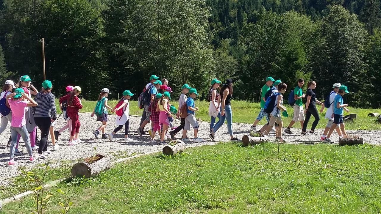 Pensiunea Poiana Soarelui Brates Exterior foto