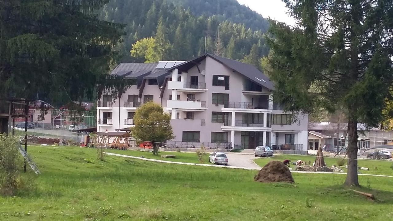 Pensiunea Poiana Soarelui Brates Exterior foto