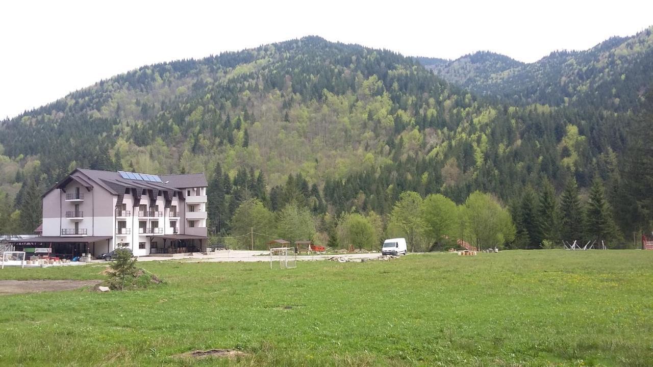 Pensiunea Poiana Soarelui Brates Exterior foto