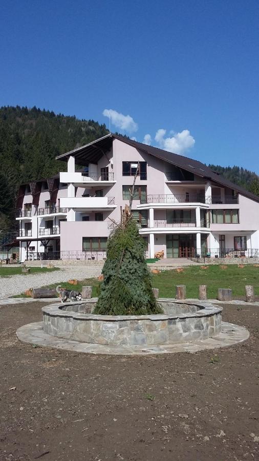 Pensiunea Poiana Soarelui Brates Exterior foto