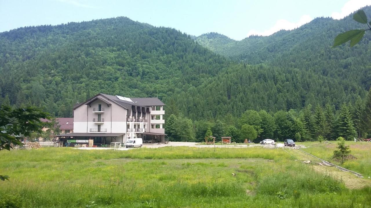Pensiunea Poiana Soarelui Brates Exterior foto
